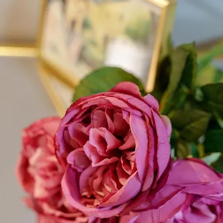 Le Dimore Del Mito -gaia-